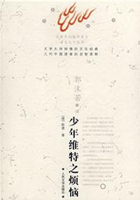 少年维特之烦恼