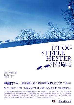 外出偷马
