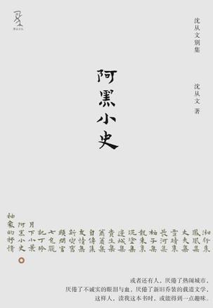 阿黑小史