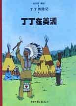 丁丁在美洲