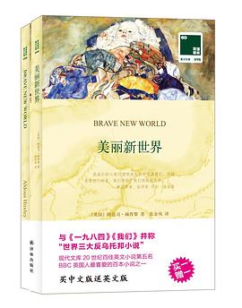 美丽新世界