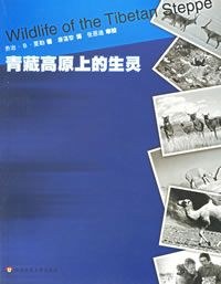 青藏高原上的生灵