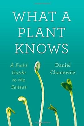 What a Plant Knows