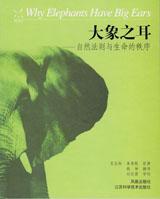 大象之耳