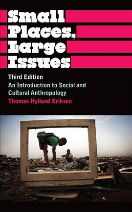 Small Places, Large Issues Third Edition