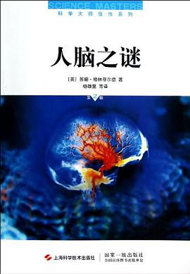 人脑之谜