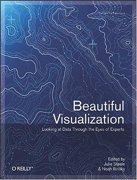 Beautiful Visualization