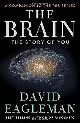 The Brain
