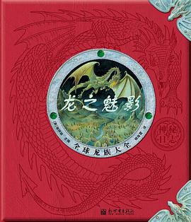 神秘日志·龙之魅影