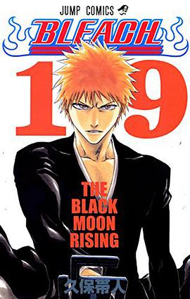 BLEACH―ブリーチ― 19