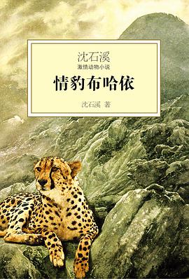 情豹布哈依