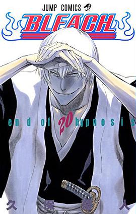 BLEACH―ブリーチ― 20