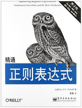 精通正则表达式