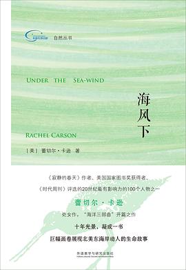 海风下