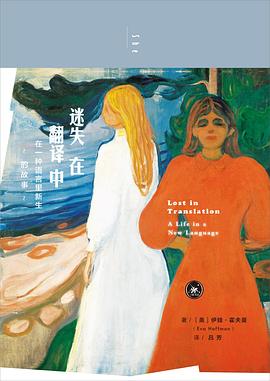 迷失在翻译中
