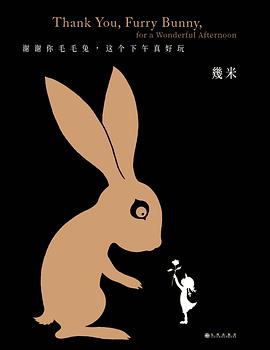 谢谢你毛毛兔，这个下午真好玩（精装）