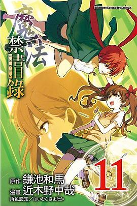 魔法禁書目錄 11