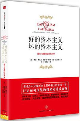 好的资本主义,坏的资本主义