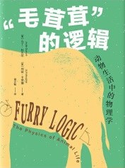 “毛茸茸”的逻辑