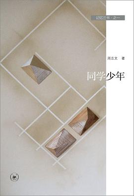 记忆三书之一同学少年