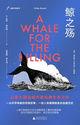 鲸之殇
