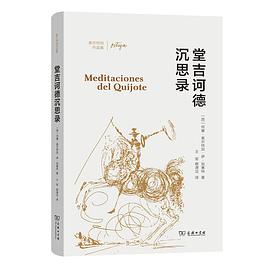 堂吉诃德沉思录
