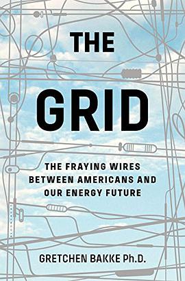The Grid:The Fraying Wires Between Americans and Our Energy Future