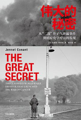 伟大的秘密:从二战芥子气泄露事件到癌症化学疗法的发现