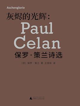 灰烬的光辉