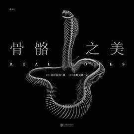 骨骼之美