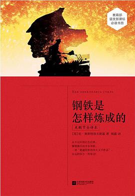 钢铁是怎样炼成的（未删节全译本）