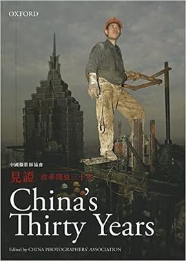 見證：改革開放三十年