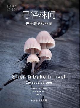 寻径林间