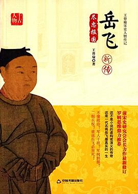 岳飞新传