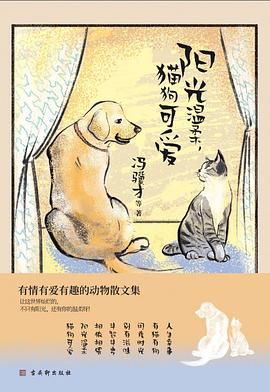 阳光温柔，猫狗可爱