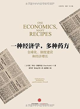 一种经济学，多种药方