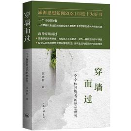穿墙而过：一个个体投资者的思想世界
