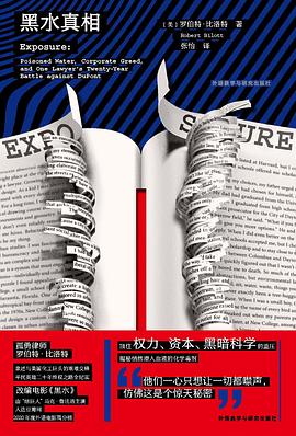 黑水真相:孤勇律师亲述与美国化工巨头的至暗交锋
