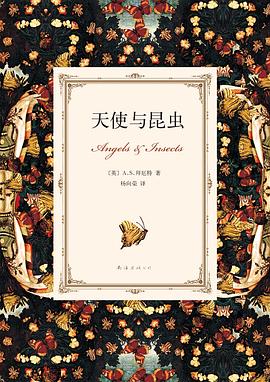 天使与昆虫