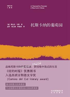 托斯卡纳的葡萄园