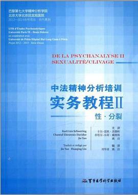 中法精神分析培训实务教程2:性·分裂