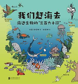 我们赶海去4