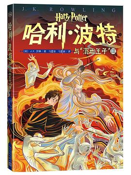 哈利·波特与“混血王子” Ⅲ