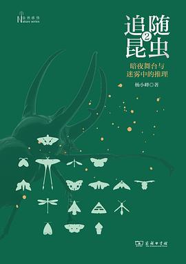 追随昆虫 2