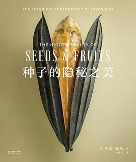 种子的隐秘之美