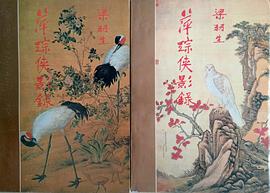 萍踪俠影錄