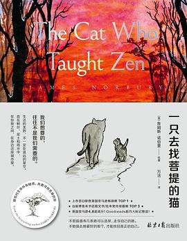 一只去找菩提的猫