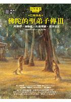 佛陀的聖弟子傳3：阿那律•迦旃延•央掘摩羅•質多比丘