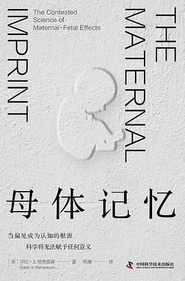 母体记忆