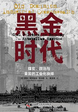 黑金时代:煤炭、政治与美国的工业化抉择